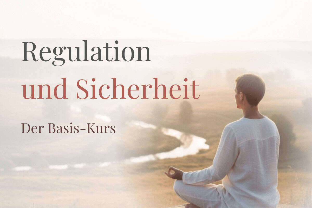 Regulation und Sicherheit Onlinekurs
